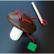 Шнурівка Білий гриб